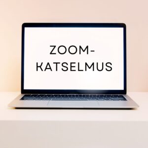 Zoom-katselmus